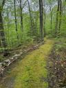 Over 2 miles of historic 80 year old heritage hiking trails lace the property