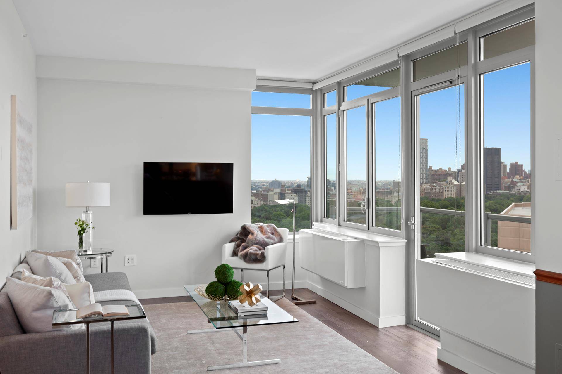 25 YEAR TAX ABATEMENT, OVERLOOKING CENTRAL PARK AND A LARGE TERRACE !