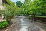 two tiered backyard