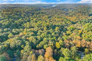 6 acres on the Greenwich Stamford border nestled against over 900 acres of the Mianus River Gorge Preserve.