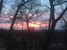 Backyard View