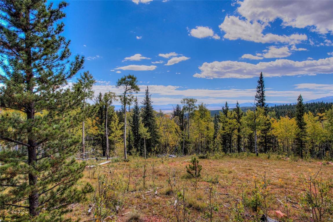 This property presents an extraordinary and unique opportunity in Park County to own two adjacent lots, totaling 21 acres.