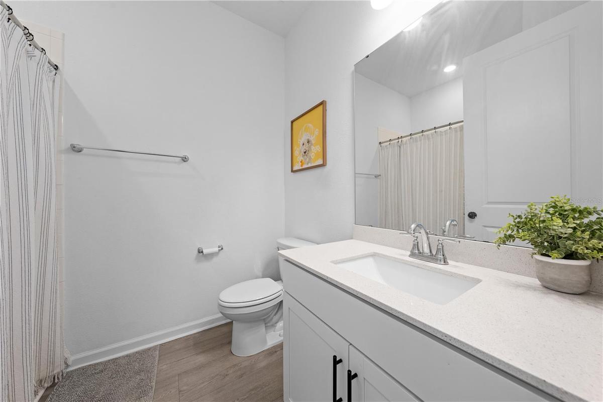 Down Stairs Bathroom