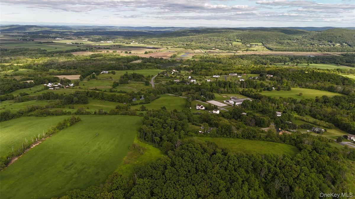 Aerial overview of property's location with a mountain backdrop and a forest