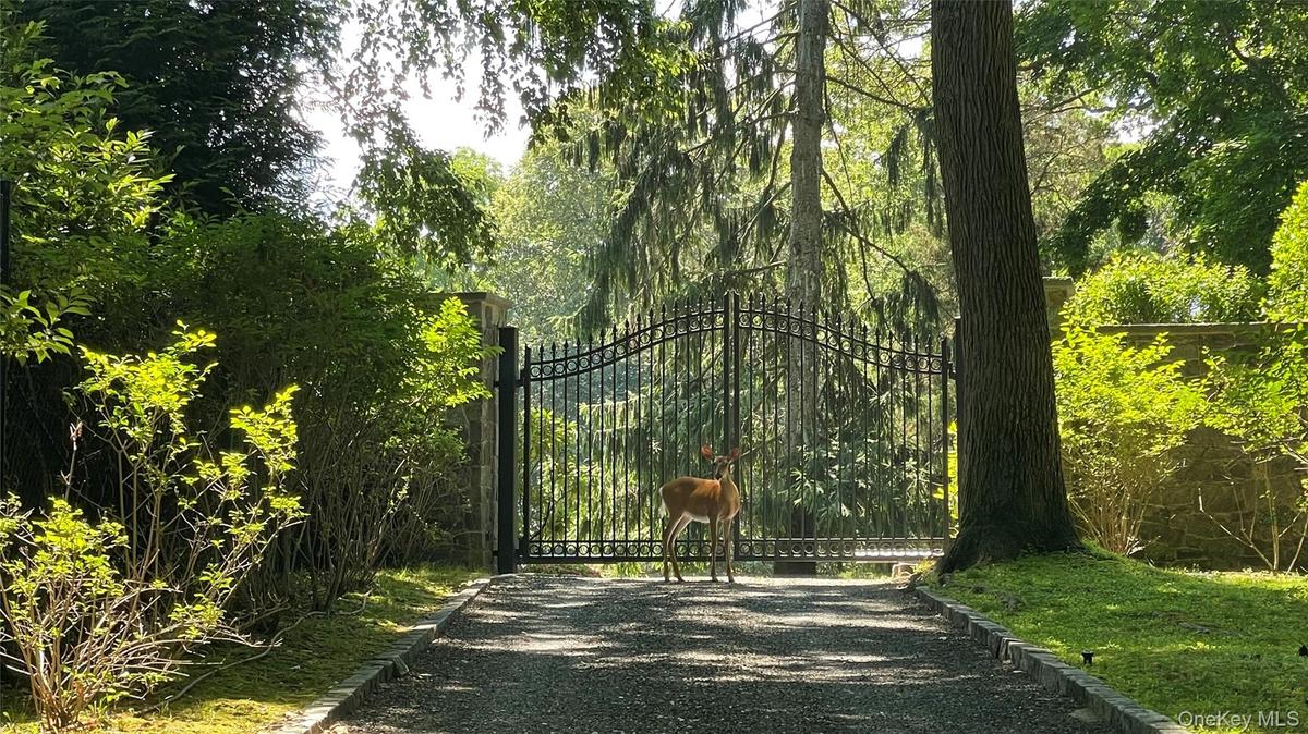 Entry to the property; five professionally landscaped, deer proof acres....