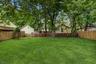 Level Backyard