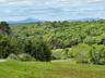 View of mountain background with a heavily wooded area