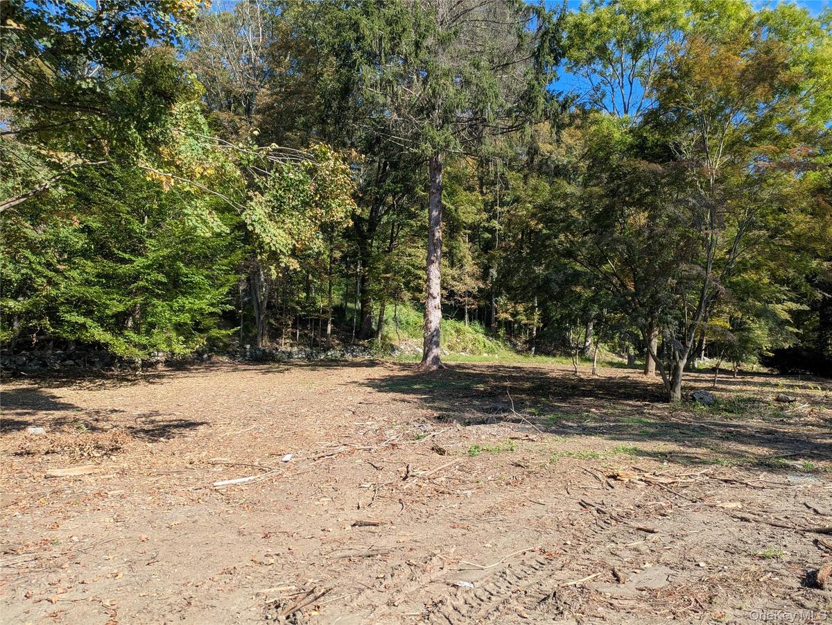 View of undeveloped land