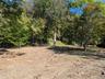 View of undeveloped land