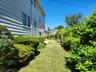 Side Yard