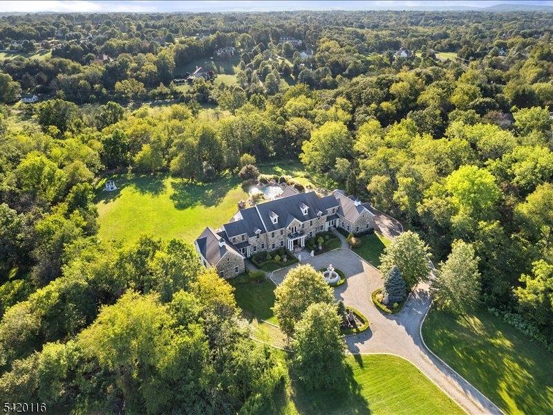 Aerial