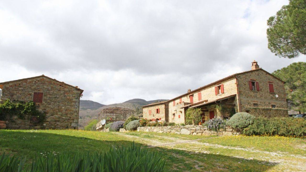 Farm with vineyard and olive grove and accommodation facility with 6 flats, 12 rooms and 1 restaurant for sale in Cortona, Tuscany.