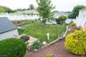 Rear View Yard