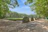 View of yard with a view of trees