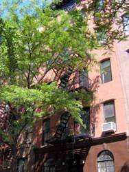 Perfectly located West Village studio in a well maintained building.