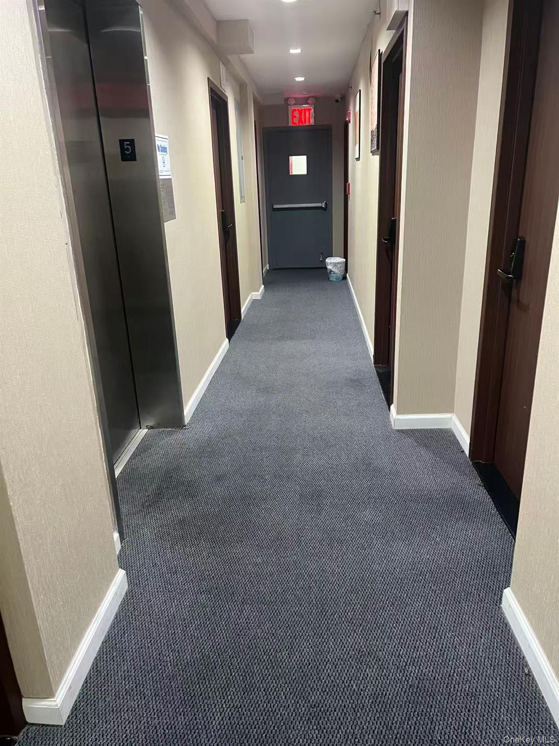 Hall featuring carpet and elevator