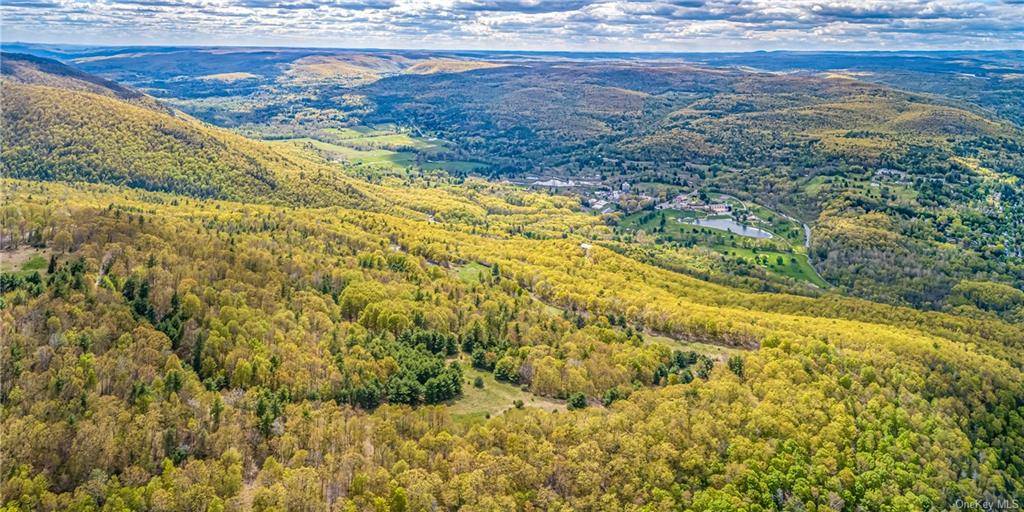 A unique opportunity to own a vast 436 acres of extraordinary land with staggering Catskill Mountain and Rondout valley views, 2 streams and adjacent to 1000's of acres of protected ...