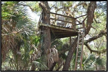 Hunting Stand
