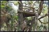 Hunting Stand