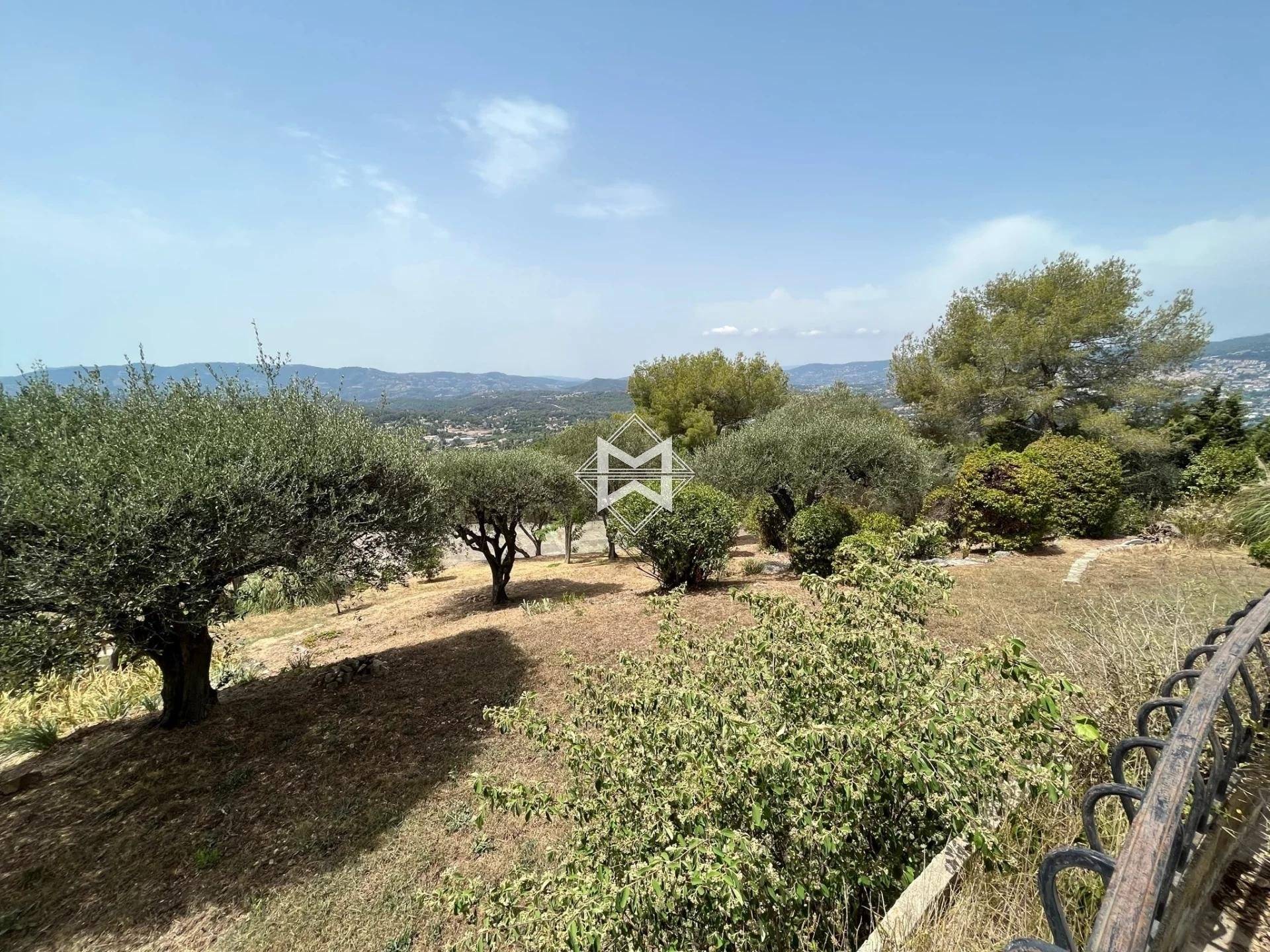 Panoramic view in a closed domain