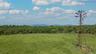 Approx 42 acres of open, rolling pasture framed by a wooded periphery