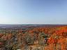 Distant Views & Sunsets