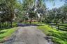 Scenic Paved Driveway with Towering Mature Live Oaks