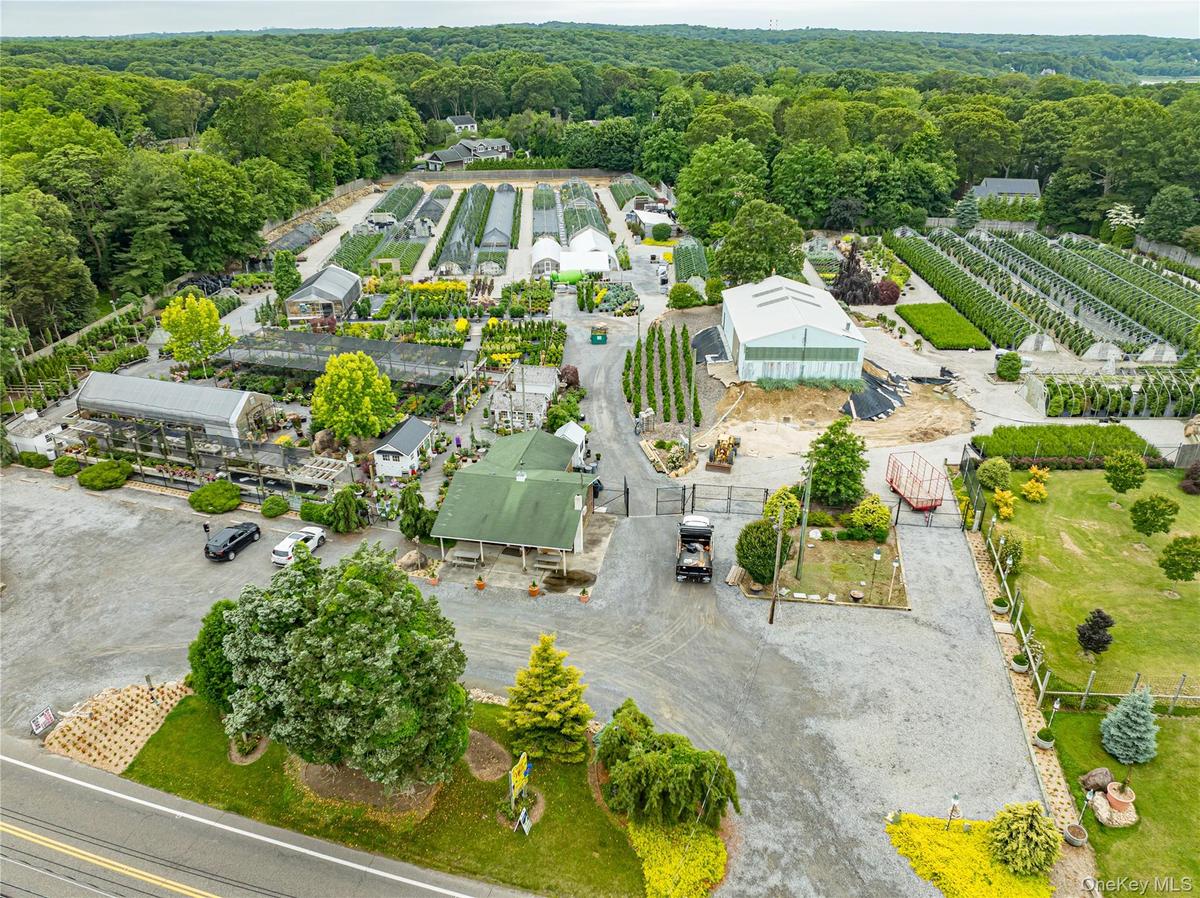 Bird's eye view of a heavily wooded area