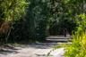 Hammock Trail