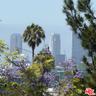 Century City View from Master