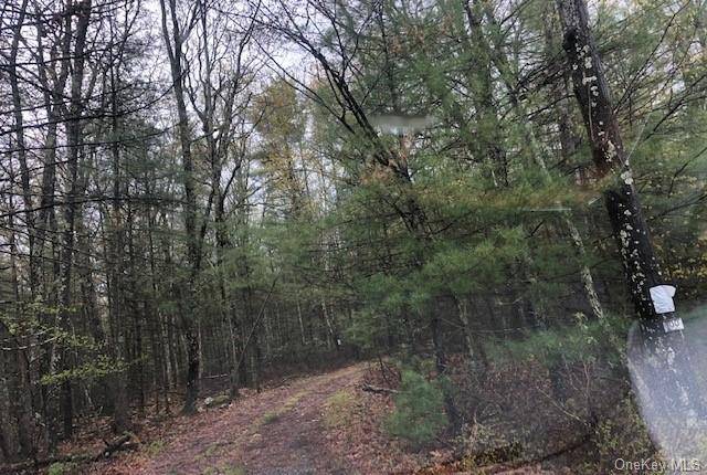 Nicely wooded parcel just outside of the charming hamlet of Eldred with easy access to the Delaware River and with deeded access to Bodine Lake just down the road.