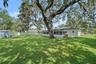 Extra Large back yard with Shed & tree swing - 14,941sq ft yard