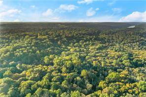 A truly rare fine, 24 acres on the Greenwich Stamford border nestled against over 900 acres of the Mianus River Gorge Preserve.