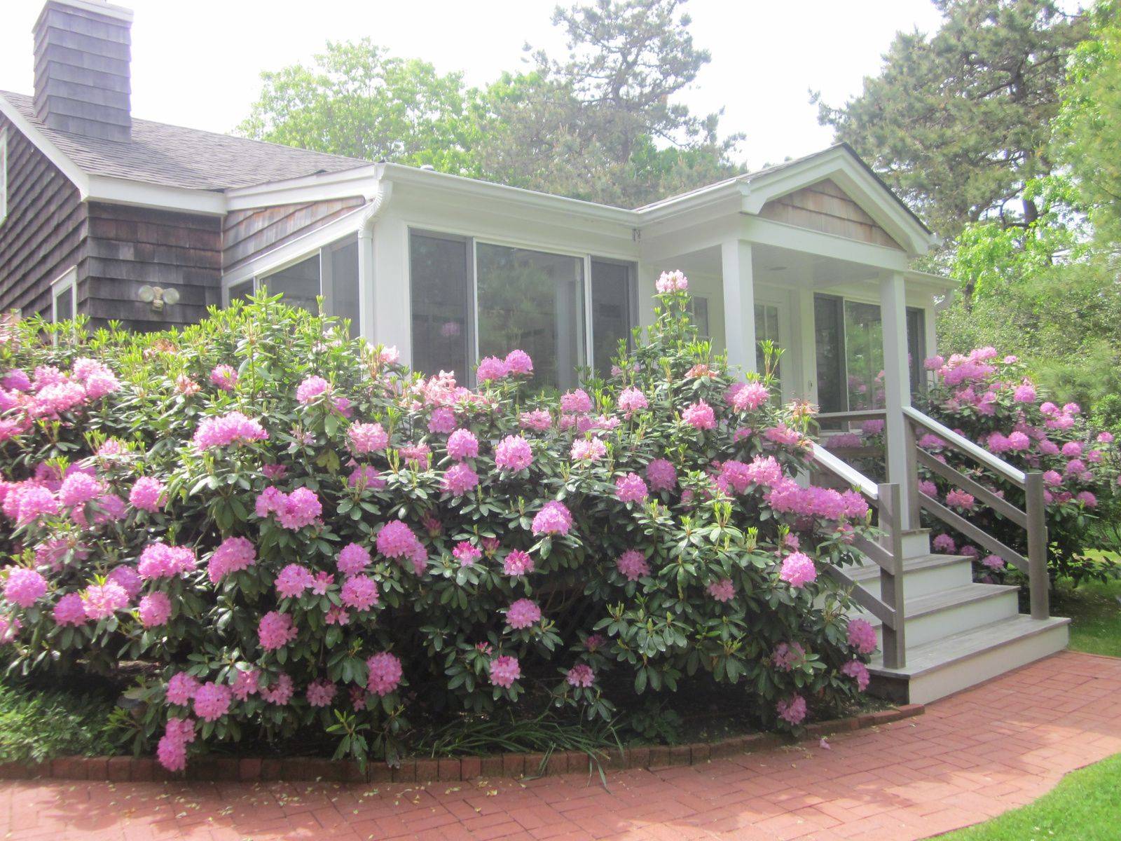 2 Bedroom Wainscott Cottage - First two weeks August 15k 2023