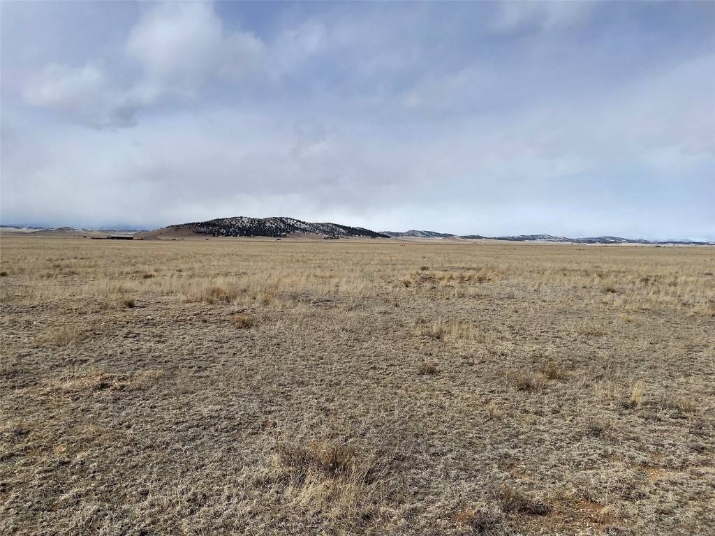 Own a beautiful, 40 acre, parcel of ranch land in the Heart of Colorado.