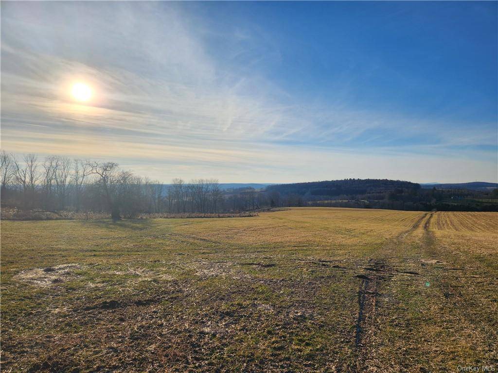 Approximately 100 of luxury land acreage located in the hills of Callicoon New York !