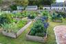 Lake Eola Heights Community Garden