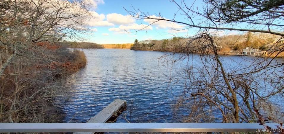 Water view
