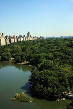 Top deal. One bedroom apartment with Central Park Exposure.  