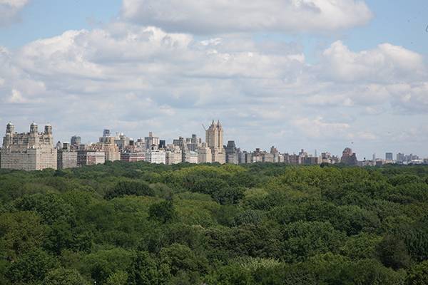 Fifth Ave Grand  Conv 3Bedroom with Dramatic Central Park Views