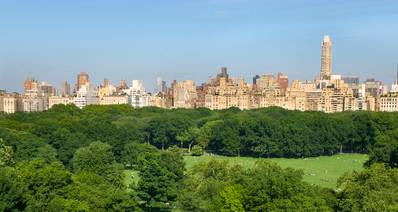 Gorgeous Beaux Arts Gem. Inspiring Central Park Views in  Prestigious Central Park West  Co-Op 