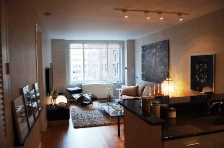 Luxury One Bedroom Apartment for Rent in Green Building in Midtown Manhattan - Leed Certified - Friendly to the Environment