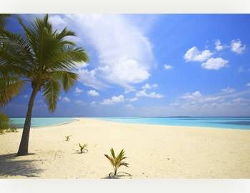 Cayman Island lots for sale - Grand Cayman: 14,307 sq ft Lake View - Most Beautiful Beach in the Caribbean 