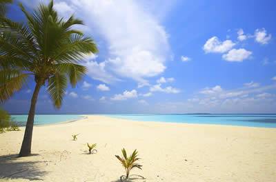 Little Cayman Island Lots For Sale - 5 year 0% interest free finance plan -- Build your Dream House!! Live/Invest in Paradise - TAX FREE! Days away from price increase